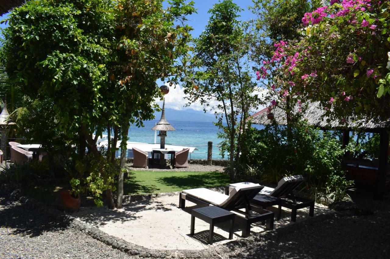 Dolphin House Resort Моалбоал Экстерьер фото