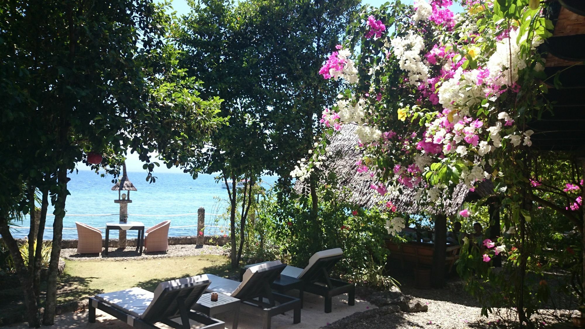 Dolphin House Resort Моалбоал Экстерьер фото